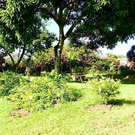 Pineapple Guest House Entebbe Extérieur photo